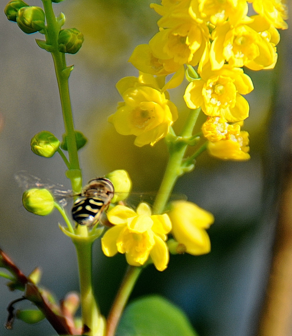 DSC_7648_01.jpg
