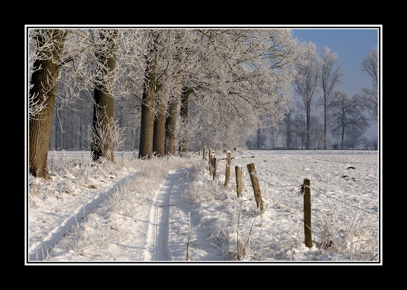 Paysage enneigé - Auteur : William