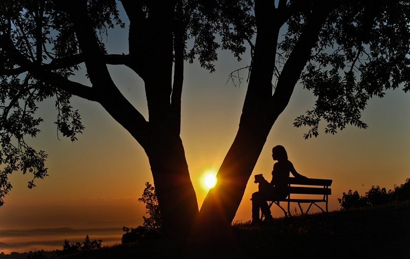 Sunset - Auteur: Régis