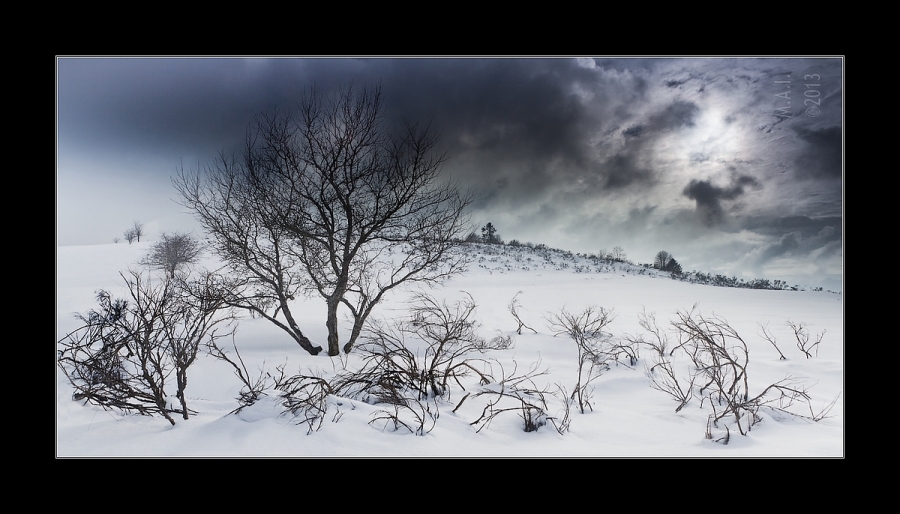 Paysage Vosgien - Auteur: Martin