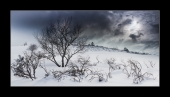Paysage Vosgien - Auteur: Martin