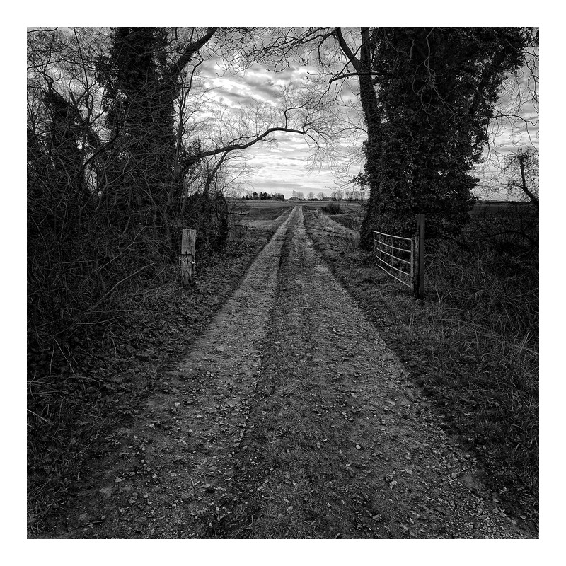 Concours de Avril 2013 - [Chemins] - Auteur : Nikonbox