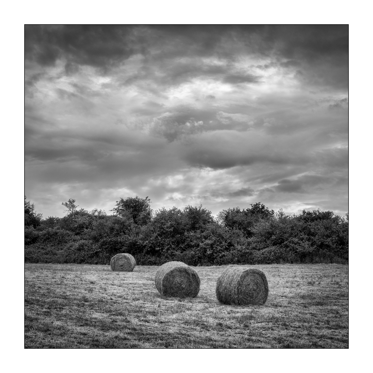 Concours de Mai 2017 Théme Imposé- Auteur: Nikonbox