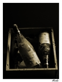 Concours de mars 09 [Temps qui passe] - Auteur : NicoleA