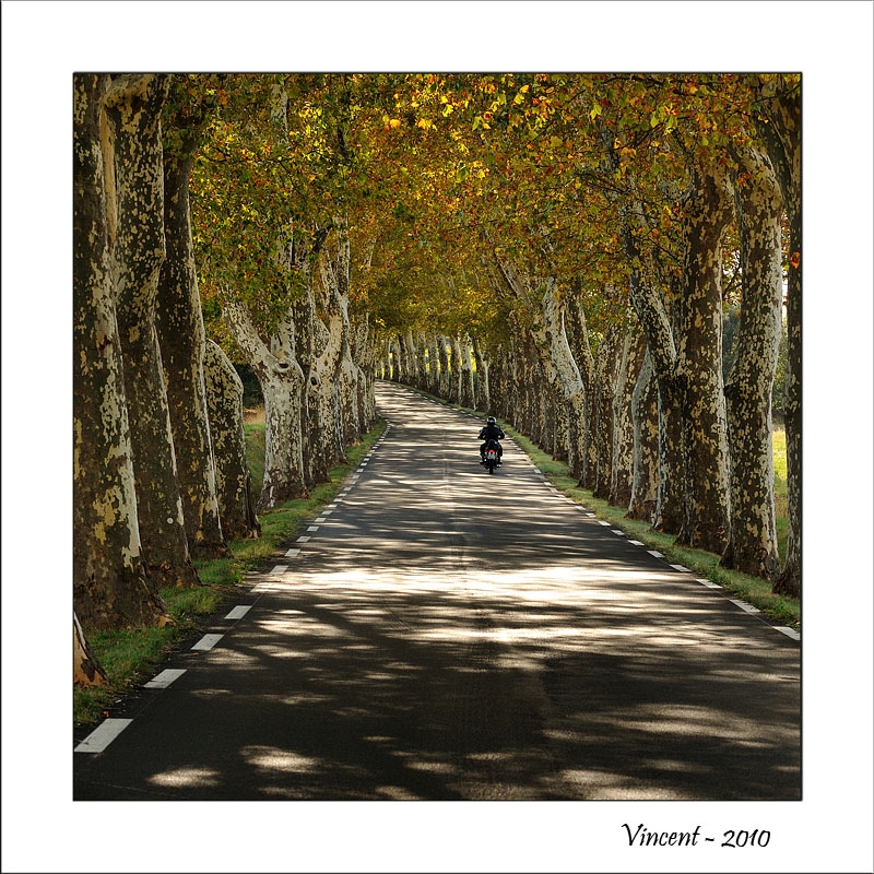 Concours à thème libre Octobre 2010 - Auteur : Vincent