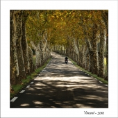 Concours à thème libre Octobre 2010 - Auteur : Vincent