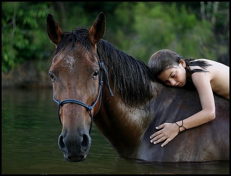 Le concours thème libre de Décembre 08 - Auteur : Dawa